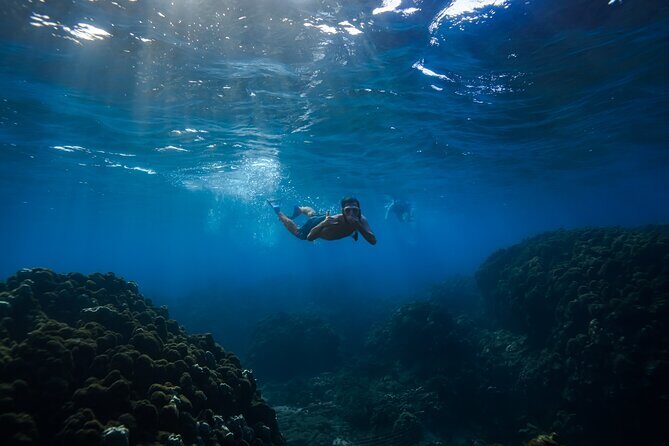 Wailea Wildlife Tour with Snorkeling - FAQ