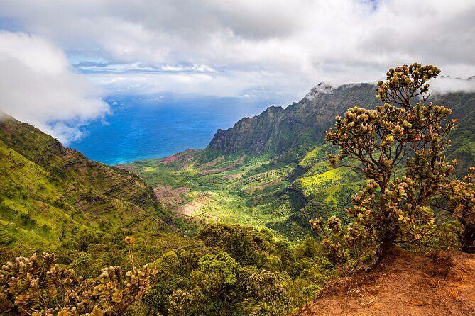 Waimea Canyon Private Tour with Local Guide from Kauai - FAQ