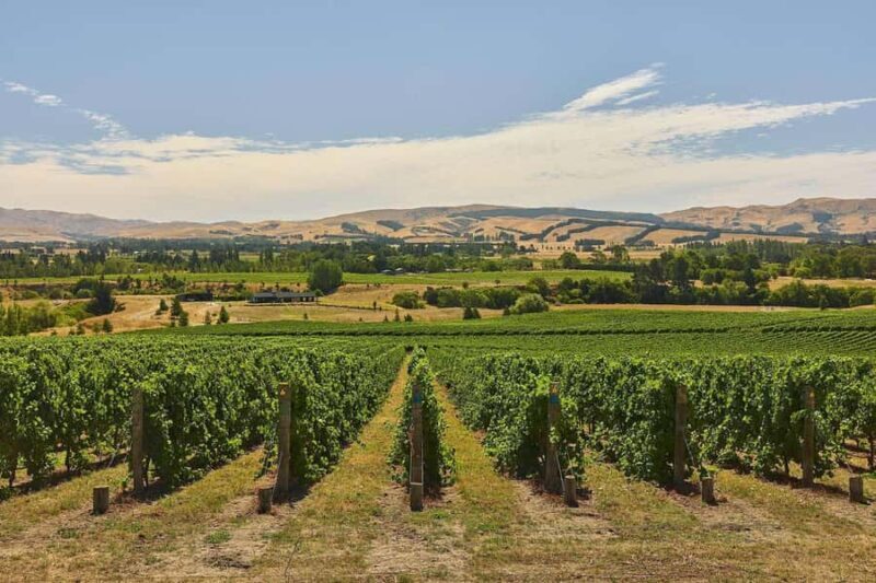 Waipara Valley Private Wine Tour with Tastings - The Itinerary and Its Highlights