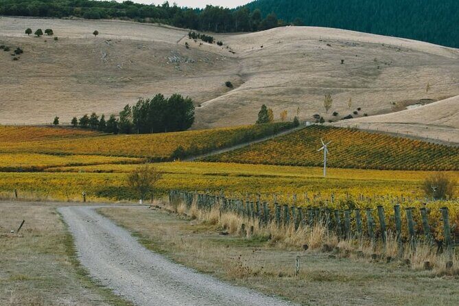 Waipara Valley Winery Tour Wine Tastings and Scenic Views - Who Should Consider This Tour?