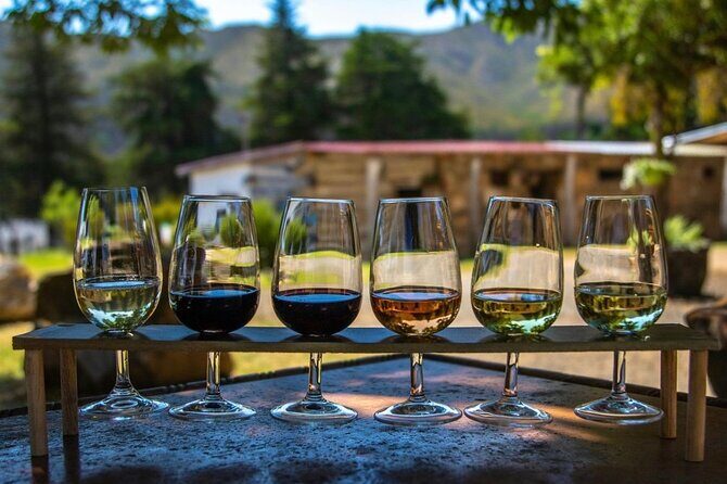Waipara Wine Trail Private Group Tour From Christchurch - Key Points: