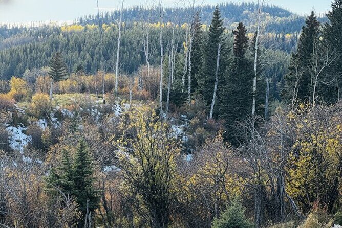 Waiprous Valley and Ghost Lake Offroad Tour - A Detailed Look at the Tour