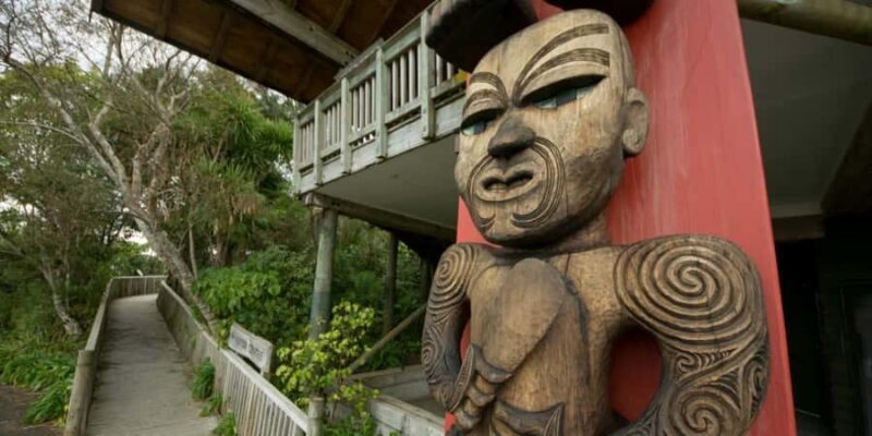 Waitakere Ranges Wilderness Experience Tour from Auckland - A Deep Dive into the Waitakere Ranges Wilderness Experience