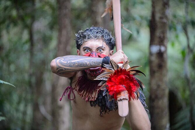 Waitangi Treaty Grounds Tour from Auckland - Analyzing the Value