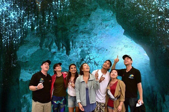 Waitomo Caves & Hobbiton Small Group Tour inc Lunch from Auckland - The Sum Up