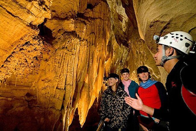 Waitomo Caves Private Driver for Tour - The Itinerary Breakdown: What You Can Expect