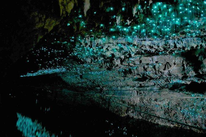 Waitomo Caves Private Tour from Auckland - FAQs
