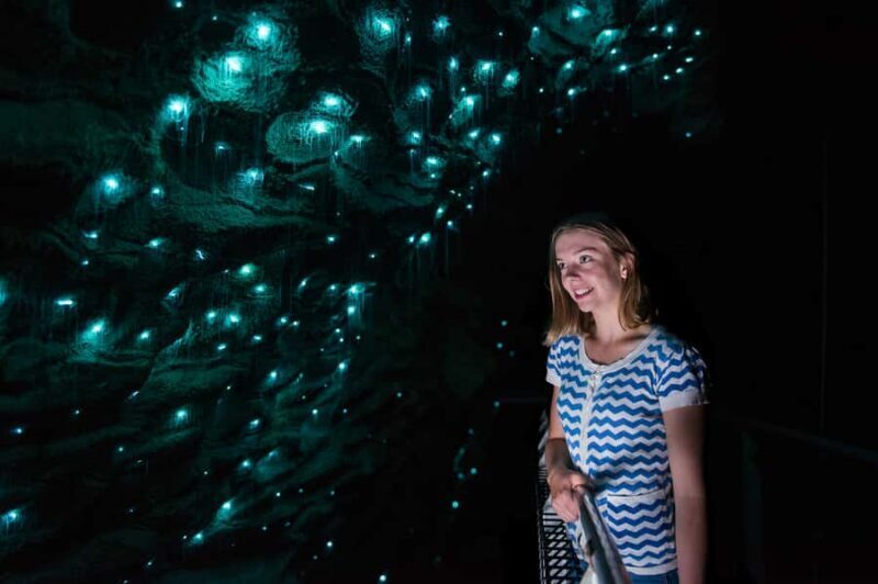 Waitomo Caves: Ruakuri Glowworm Cave Guided Walking Tour - Introduction
