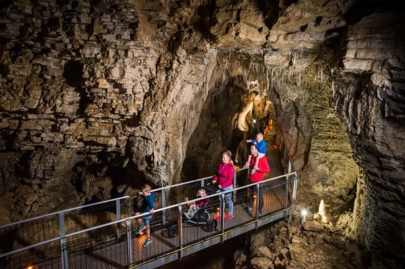 Waitomo Caves: Ruakuri Glowworm Cave Guided Walking Tour - Final Thoughts: Is This Tour Right for You?
