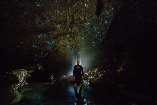 Waitomo Glow Worm Caves - Introduction