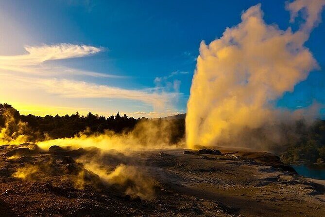 Waitomo Glow Worm Caves & Te Puia (Rotorua) Private Tour - The Sum Up