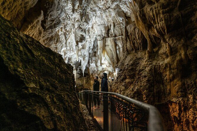 Waitomo Glowworm Caves and Kiwi House Small Group from Auckland - Who Would Enjoy This Tour?
