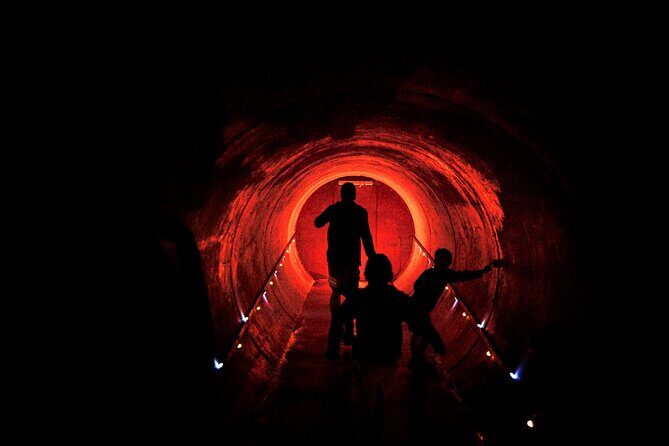 Waitomo Glowworm Caves and Kiwi House Small Group from Auckland - The Sum Up