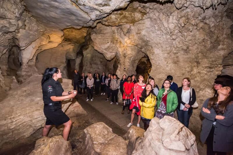 Waitomo: Glowworm Caves Guided Tour by Boat - A Closer Look at the Tour Experience