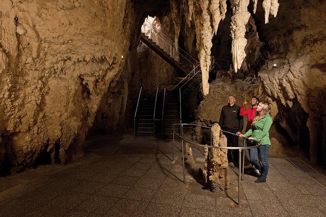 Waitomo Glowworm Caves Guided Tour - Key Points