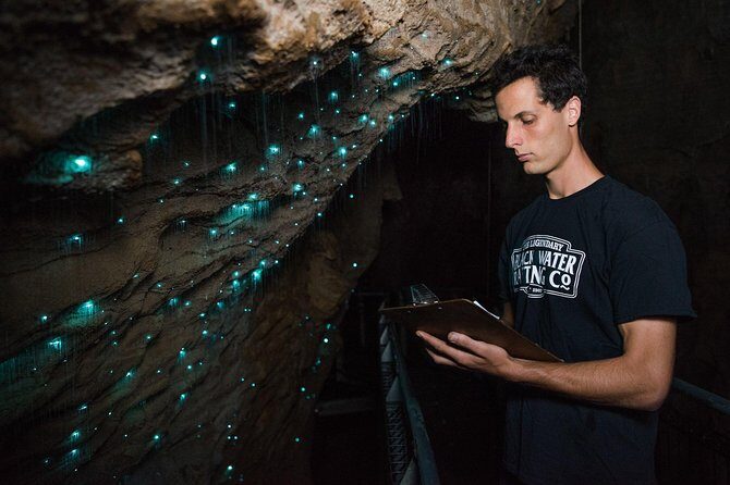 Waitomo Glowworm Caves Guided Tour - The Sum Up