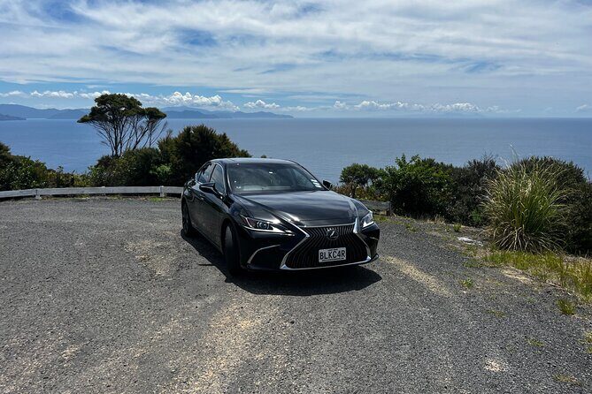 Waitomo Glowworm Caves In a Private Small Group Tour-Auckland. - Introduction: Discovering the Unique World of the Waitomo Glowworm Caves
