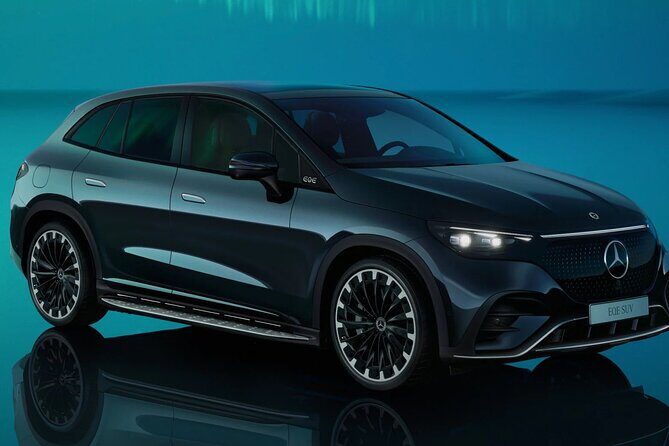 Waitomo Glowworm Caves In a Private Small Group Tour-Auckland. - Reviews: Authentic Insights from Past Travelers