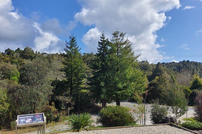 Waitomo Glowworm & Ruakuri Twin Cave Experience - Small Group Tour From Auckland - FAQ