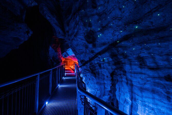 Waitomo Glowworm & Ruakuri Twin Cave - Private Tour From Auckland - The Value of This Tour