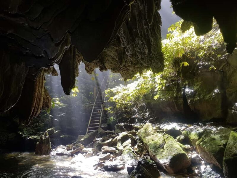 Waitomo: Guided Eco-Cave Tour - An In-Depth Look at the Waitomo Eco-Cave Tour