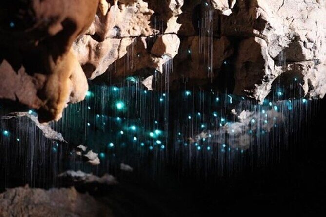 Waitomo Spellbound Glowworm Caves Small Group Tour from Auckland - The Experience Duration and Group Size