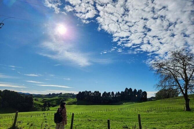 Waitomo Spellbound Glowworm Caves Small Group Tour from Auckland - The Sum Up