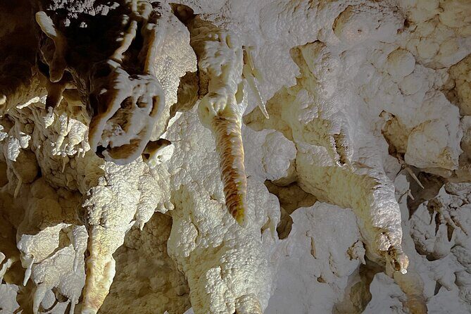 WAITOMO - Twin Caves Discovery - Private Day Tour from Auckland - Frequently Asked Questions