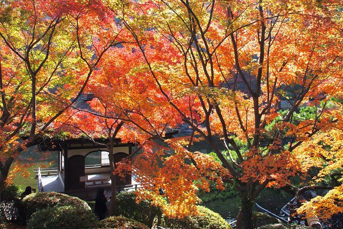 Wakayama Castle Town Walking Tour - FAQ