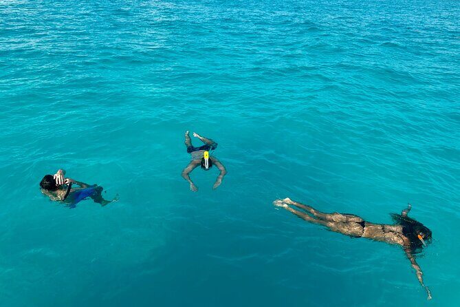 Wake Surfing Lessons & Snorkeling - #1 Experience in Cancun 4hr - What Travelers Say (Based on Reviews)