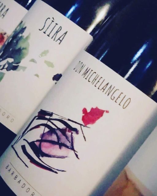 Walk among the rows of vineyards and wine tasting - An In-Depth Look at the Wine & Vineyard Experience in Sicily