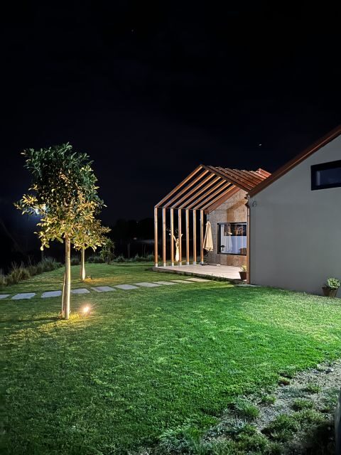 Walk among the rows of vineyards and wine tasting - The Experience’s Pros and Cons