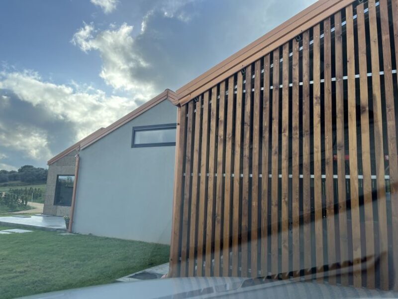 Walk among the rows of vineyards and wine tasting - The Bottom Line