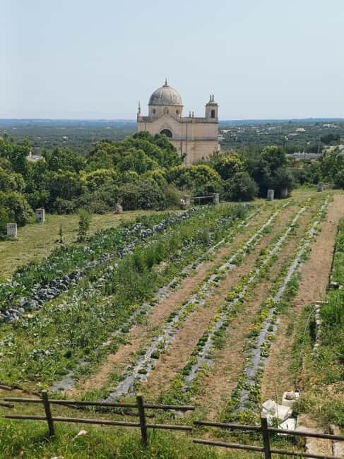 Walk and Aperitif in the Secret Gardens of Ostuni - An In-Depth Look at the Experience