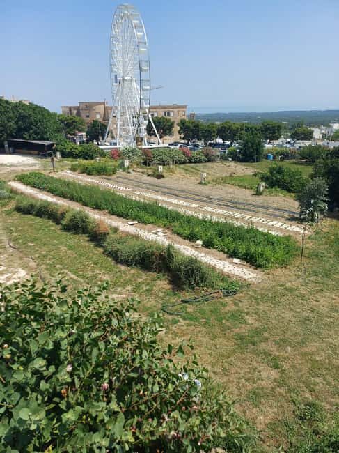 Walk and Aperitif in the Secret Gardens of Ostuni - Final Thoughts