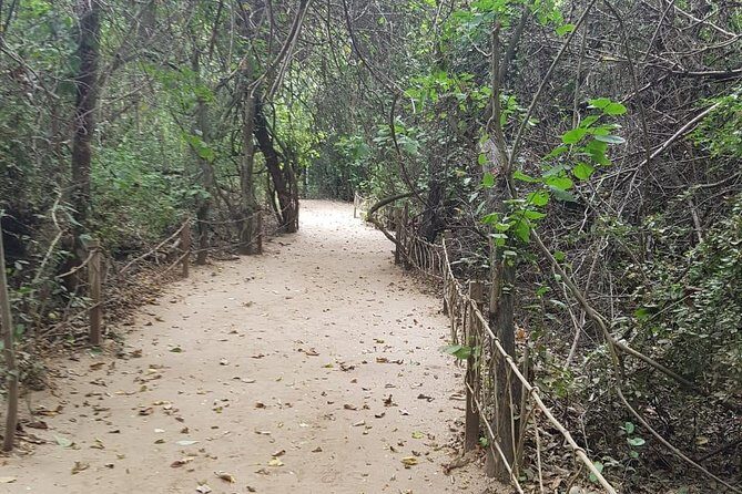 Walk And Snorkel In The National Park HT - Final Thoughts