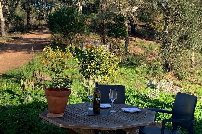 Walk in the Hills with Goat Herder-Local Honey, Wine and Cheese Tasting - Exploring the Walk in the Hills with a Goat Herder