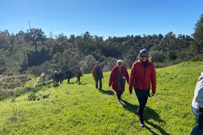 Walk in the Hills with Goat Herder-Local Honey, Wine and Cheese Tasting - Why This Tour Stands Out