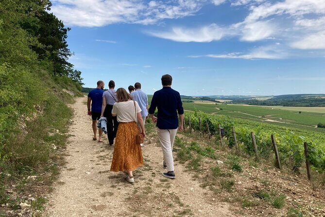 Walk in the vineyards of Chablis Grands Crus - A Closer Look at the Tour Experience