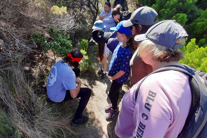 Walk on Country at Taananeditj (Rotary Lookout) - Key Points