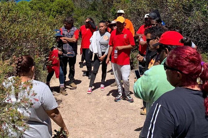 Walk on Country at Taananeditj (Rotary Lookout) - FAQ about Walk on Country at Taananeditj