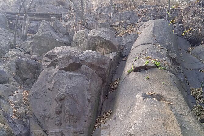 Walk through Chapultepec Park and its archaeological area - FAQ