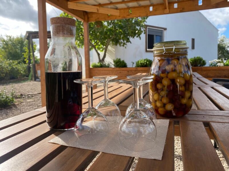 Walk through Hills With a Local Goat Herder and Their Goats - A Detailed Look at the Experience