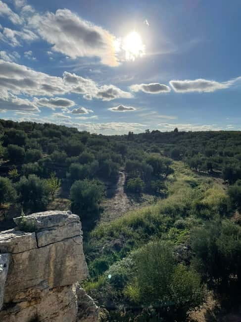 Walk through Lama S.Croce: Between Trulli and Olive Trees - Exploring the Land of Ancient Secrets: Walk through Lama S.Croce