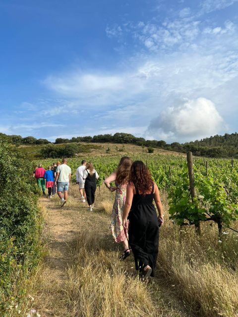 Walk through our vineyard and aperitif - Walk through our vineyard and aperitif: honest review of a Sardinian wine experience