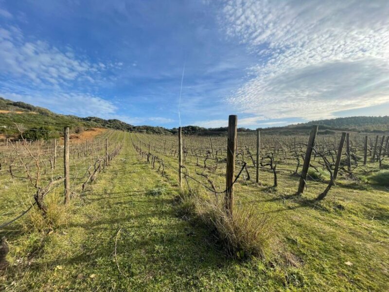 Walk through our vineyard and aperitif - Key Points