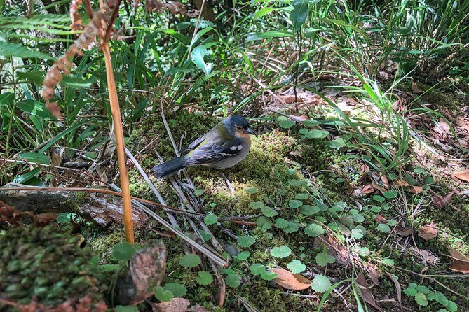 Walk with a local - Final Thoughts