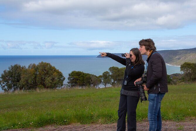 Walk with Wildlife: Guided Tour in Great Ocean Road - Why This Tour Works Well