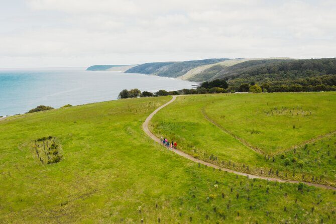 Walk with Wildlife: Guided Tour in Great Ocean Road - Final Thoughts