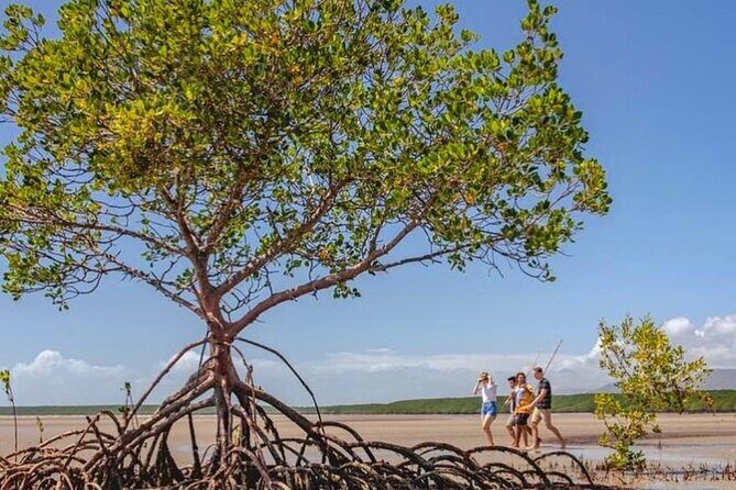 Walkabout Cultural Adventures - Ngana Julaymba Dungay Full Day - Transportation & Group Size